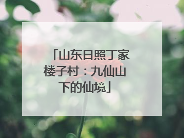 山东日照丁家楼子村：九仙山下的仙境