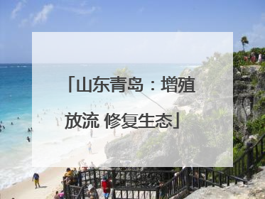 山东青岛：增殖放流 修复生态