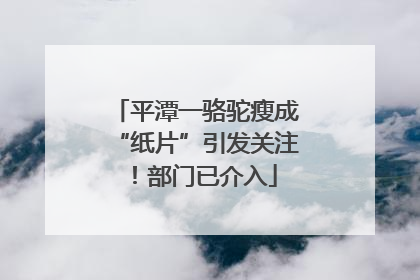 平潭一骆驼瘦成“纸片”引发关注！部门已介入