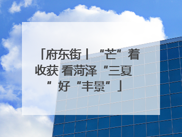 府东街丨“芒”着收获 看菏泽“三夏”好“丰景”