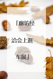 廊坊经洽会上逛车展