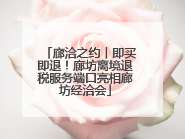 廊洽之约丨即买即退！廊坊离境退税服务端口亮相廊坊经洽会