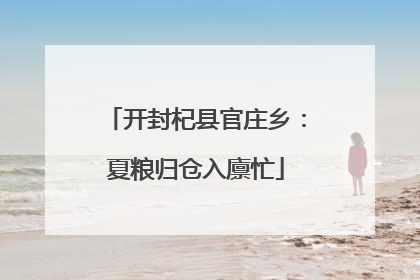 开封杞县官庄乡：夏粮归仓入廪忙