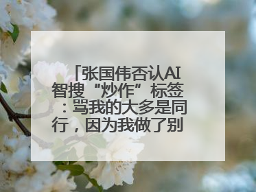张国伟否认AI智搜“炒作”标签：骂我的大多是同行，因为我做了别人做不了的事