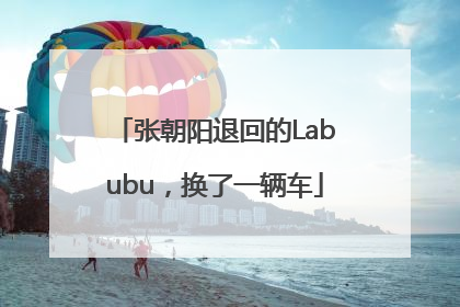 张朝阳退回的Labubu，换了一辆车