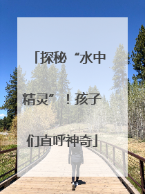 探秘“水中精灵”！孩子们直呼神奇