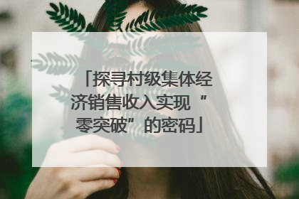 探寻村级集体经济销售收入实现“零突破”的密码