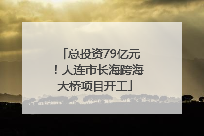 总投资79亿元！大连市长海跨海大桥项目开工