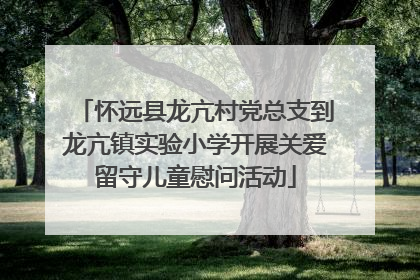 怀远县龙亢村党总支到龙亢镇实验小学开展关爱留守儿童慰问活动
