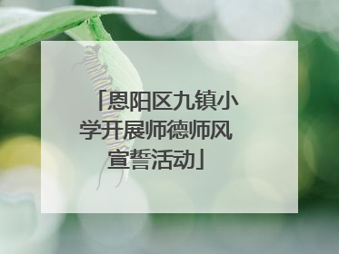 恩阳区九镇小学开展师德师风宣誓活动