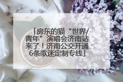 房东的猫“世界/青年”演唱会济南站来了！济南公交开通6条歌迷定制专线