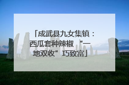 成武县九女集镇：西瓜套种辣椒 “一地双收”巧致富