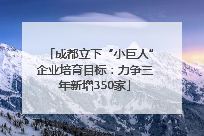 成都立下“小巨人”企业培育目标：力争三年新增350家