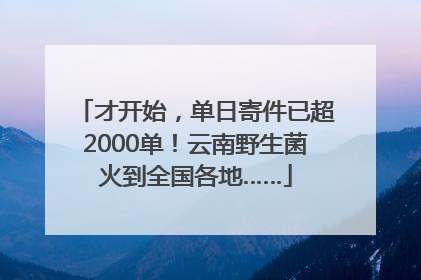 才开始，单日寄件已超2000单！云南野生菌火到全国各地……