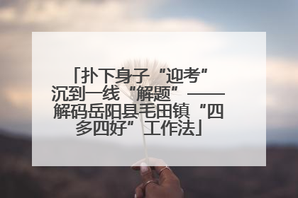 扑下身子“迎考” 沉到一线“解题”——解码岳阳县毛田镇“四多四好”工作法