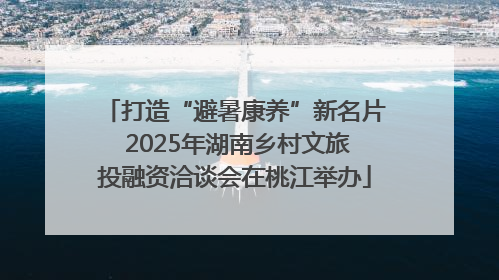 打造“避暑康养”新名片 2025年湖南乡村文旅投融资洽谈会在桃江举办
