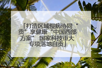 打造区域慢病协同“贡”享健康“中国西部方案” 国家科技重大专项落地自贡