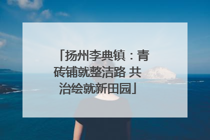 扬州李典镇：青砖铺就整洁路 共治绘就新田园