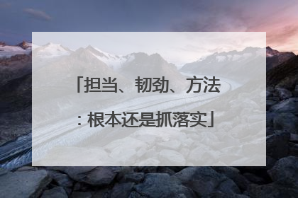 担当、韧劲、方法：根本还是抓落实