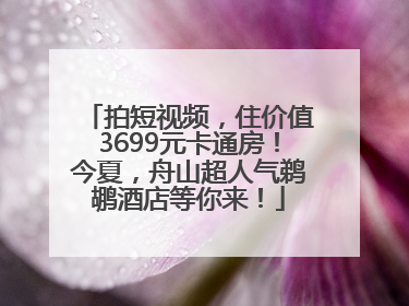 拍短视频，住价值3699元卡通房！今夏，舟山超人气鹈鹕酒店等你来！