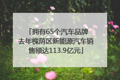拥有65个汽车品牌 去年槐荫区新能源汽车销售额达113.9亿元