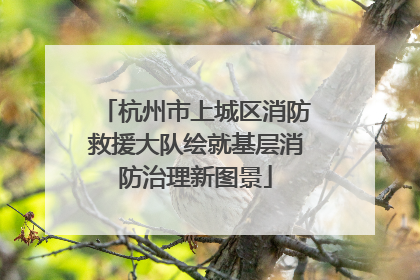 杭州市上城区消防救援大队绘就基层消防治理新图景