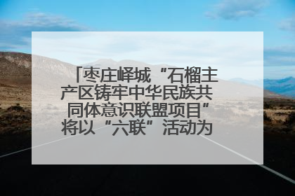 枣庄峄城“石榴主产区铸牢中华民族共同体意识联盟项目”将以“六联”活动为抓手深化品牌建设