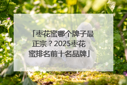 枣花蜜哪个牌子最正宗？2025枣花蜜排名前十名品牌