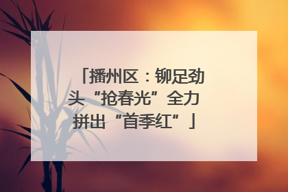 播州区：铆足劲头“抢春光”全力拼出“首季红”
