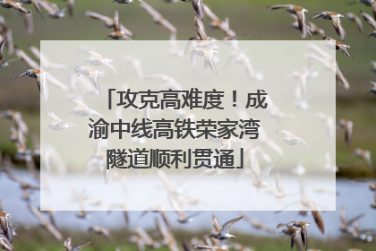 攻克高难度！成渝中线高铁荣家湾隧道顺利贯通