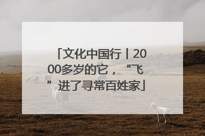 文化中国行丨2000多岁的它，“飞”进了寻常百姓家