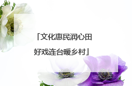 文化惠民润心田 好戏连台暖乡村