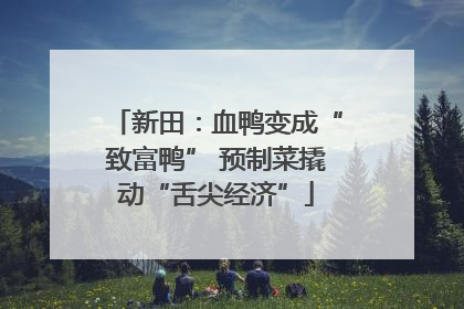 新田：血鸭变成“致富鸭” 预制菜撬动“舌尖经济”