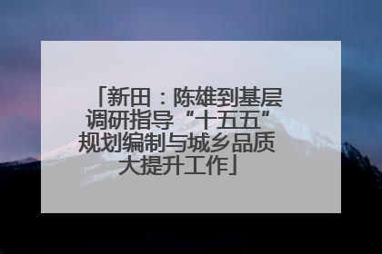 新田：陈雄到基层调研指导“十五五”规划编制与城乡品质大提升工作