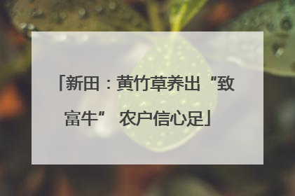 新田：黄竹草养出“致富牛” 农户信心足