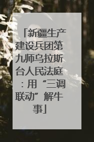 新疆生产建设兵团第九师乌拉斯台人民法庭：用“三调联动”解牛事