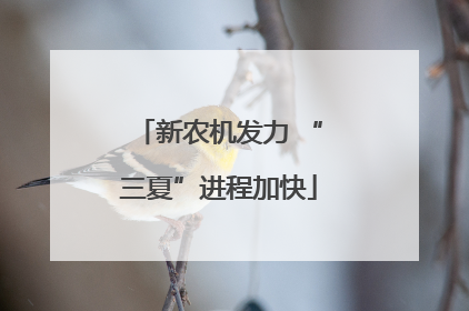 新农机发力 “三夏”进程加快