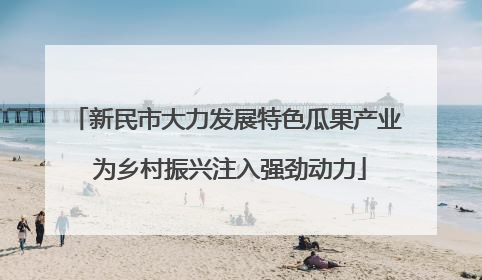 新民市大力发展特色瓜果产业 为乡村振兴注入强劲动力