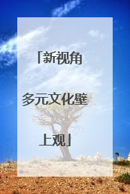 新视角 多元文化壁上观