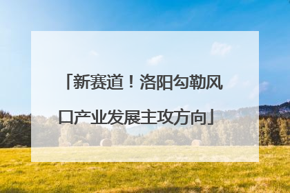新赛道！洛阳勾勒风口产业发展主攻方向