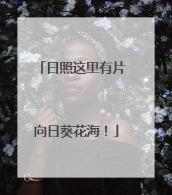 日照这里有片向日葵花海！