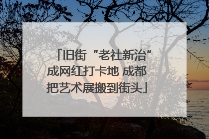 旧街“老社新治”成网红打卡地 成都把艺术展搬到街头