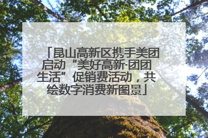 昆山高新区携手美团启动“美好高新·团团生活”促销费活动，共绘数字消费新图景