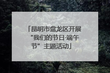 昆明市盘龙区开展“我们的节日·端午节”主题活动