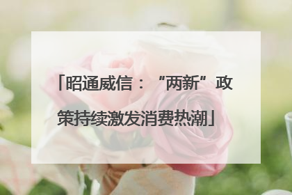 昭通威信：“两新”政策持续激发消费热潮