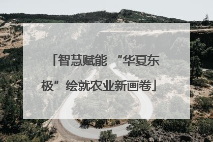 智慧赋能 “华夏东极”绘就农业新画卷