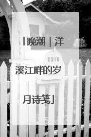晚潮｜洋溪江畔的岁月诗笺