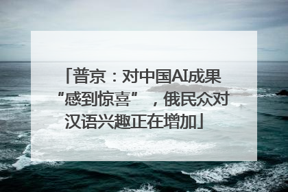 普京：对中国AI成果“感到惊喜”，俄民众对汉语兴趣正在增加
