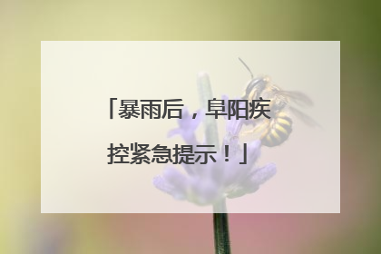 暴雨后，阜阳疾控紧急提示！