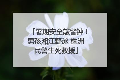 暑期安全敲警钟！男孩湘江野泳 株洲民警生死救援